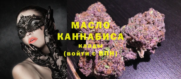 индика Костерёво