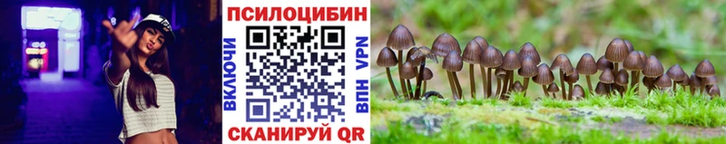 Купить  Новочебоксарск  Галлюциногенные грибы Cubensis 